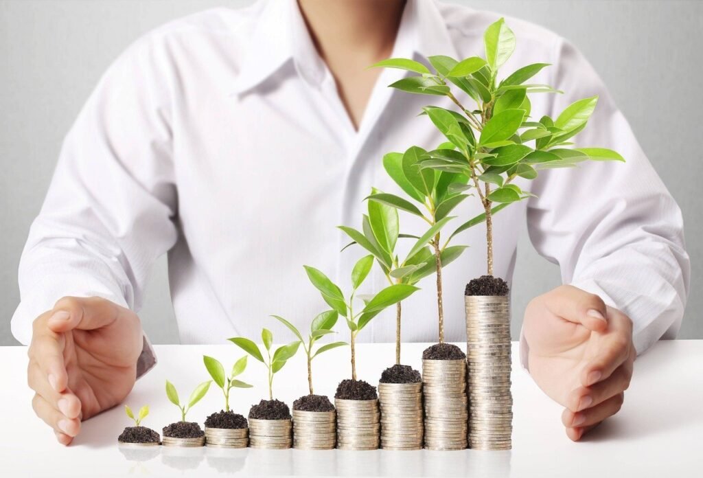balanced fund